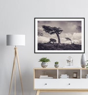 Tierra del Fuego—Framed prints
