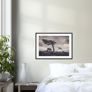 Tierra del Fuego—Framed prints